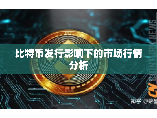 比特币发行影响下的市场行情分析