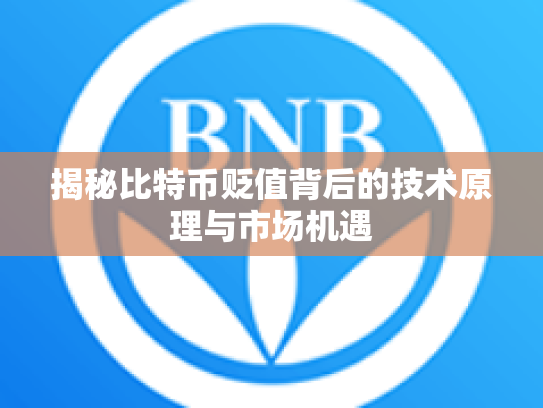 揭秘比特币贬值背后的技术原理与市场机遇