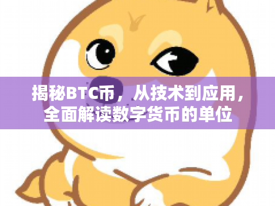 揭秘BTC币，从技术到应用，全面解读数字货币的单位