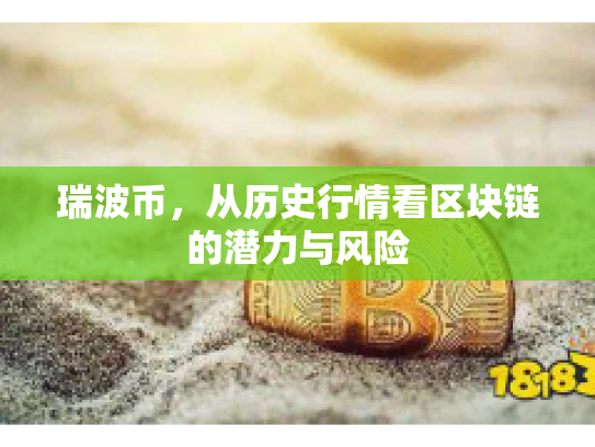 瑞波币，从历史行情看区块链的潜力与风险