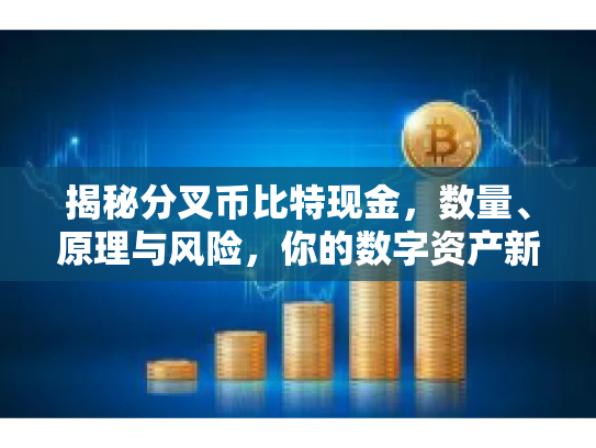 揭秘分叉币比特现金，数量、原理与风险，你的数字资产新航标