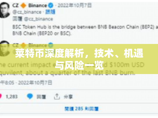 莱特币深度解析，技术、机遇与风险一览