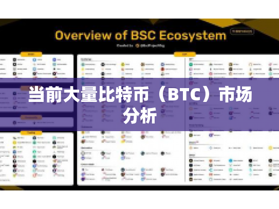 当前大量比特币（BTC）市场分析