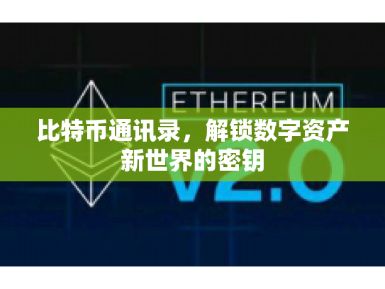 比特币通讯录,解锁数字资产新世界的密钥 比特币通讯录,解锁数字资产新世界的密钥