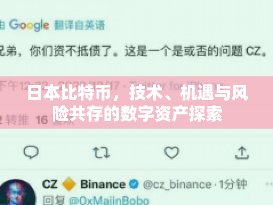 日本比特币，技术、机遇与风险共存的数字资产探索
