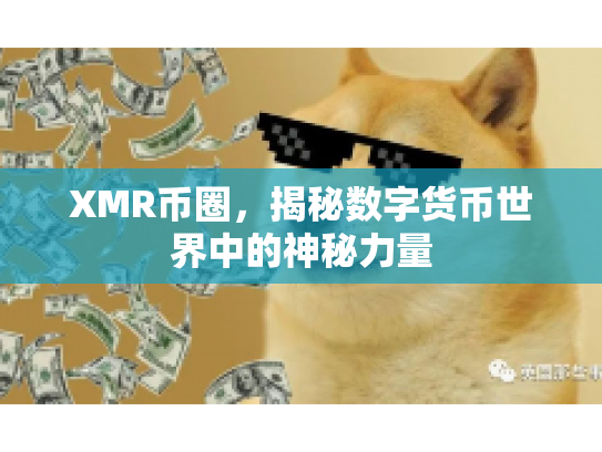 XMR币圈，揭秘数字货币世界中的神秘力量