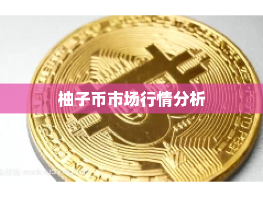 柚子币市场行情分析