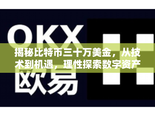 揭秘比特币三十万美金，从技术到机遇，理性探索数字资产世界