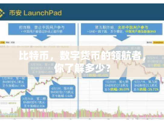 比特币，数字货币的领航者，你了解多少？