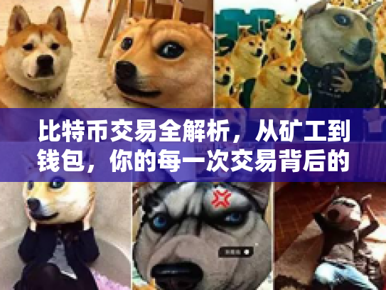 比特币交易全解析，从矿工到钱包，你的每一次交易背后的技术与风险