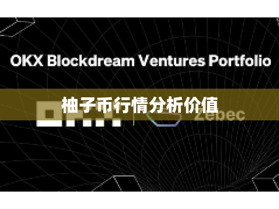 柚子币行情分析价值