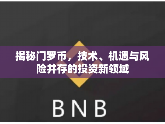 揭秘门罗币,技术、机遇与风险并存的投资新领域 揭秘门罗币,技术、机遇与风险并存的投资新领域