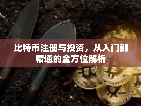 比特币注册与投资，从入门到精通的全方位解析