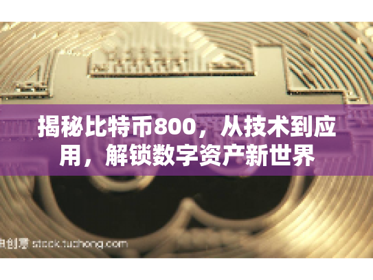 揭秘比特币800,从技术到应用,解锁数字资产新世界 揭秘比特币800,从技术到应用,解锁数字资产新世界