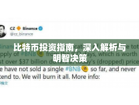 比特币投资指南，深入解析与明智决策