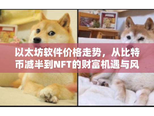 以太坊软件价格走势，从比特币减半到NFT的财富机遇与风险挑战