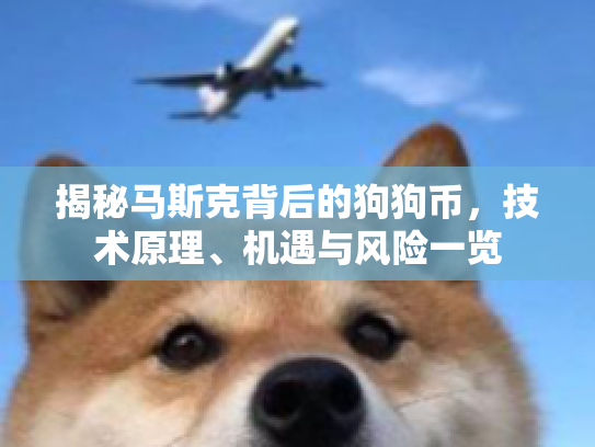 揭秘马斯克背后的狗狗币，技术原理、机遇与风险一览