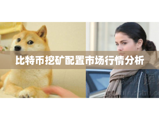 比特币挖矿配置市场行情分析 比特币挖矿配置市场行情分析