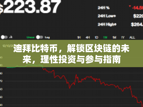 迪拜比特币，解锁区块链的未来，理性投资与参与指南