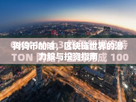 狗狗币加油,区块链世界的潜力股与投资指南 狗狗币加油,区块链世界的潜力股与投资指南