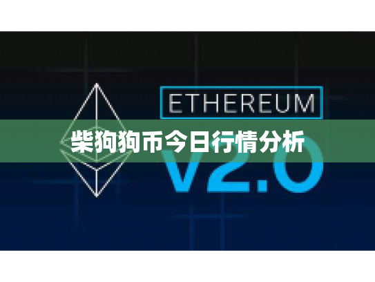 柴狗狗币今日行情分析