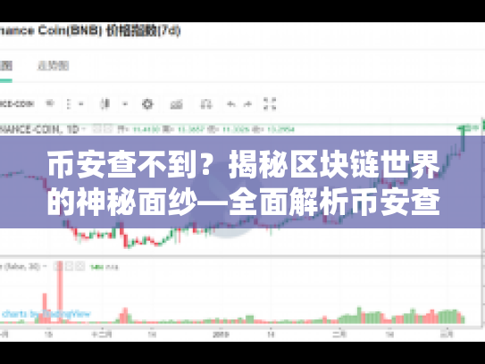 币安查不到？揭秘区块链世界的神秘面纱—全面解析币安查不到的那些事