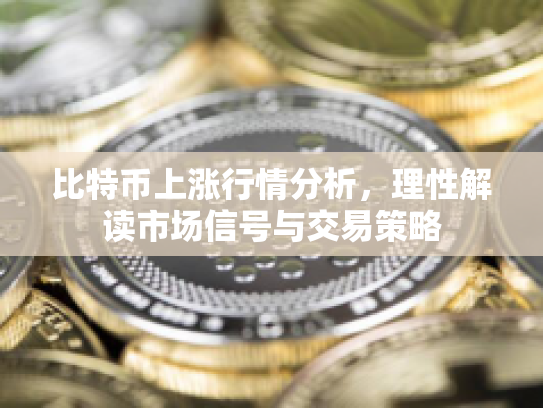 比特币上涨行情分析，理性解读市场信号与交易策略