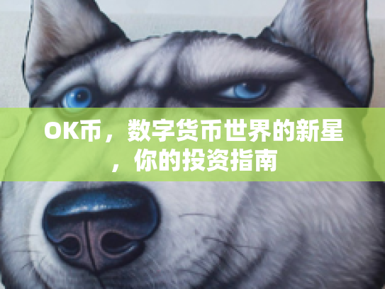 OK币，数字货币世界的新星，你的投资指南