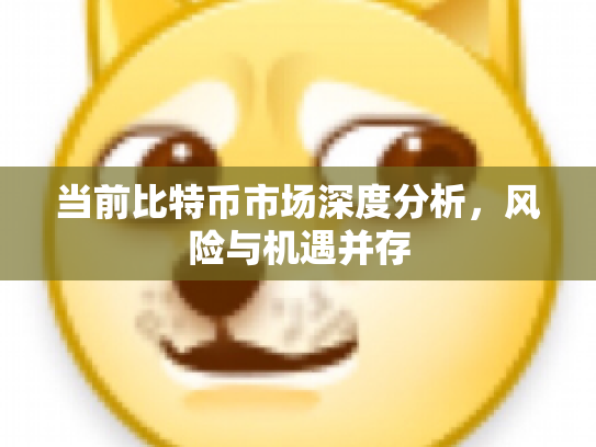 当前比特币市场深度分析，风险与机遇并存