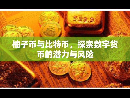柚子币与比特币,探索数字货币的潜力与风险 柚子币与比特币,探索数字货币的潜力与风险