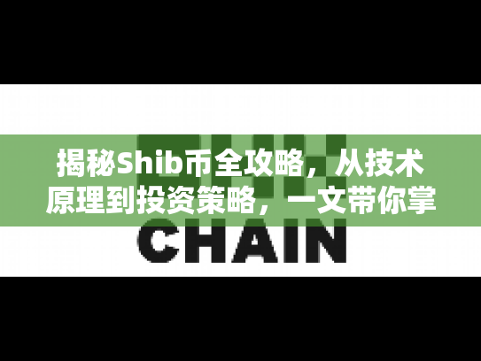 揭秘Shib币全攻略，从技术原理到投资策略，一文带你掌握数字货币核心知识