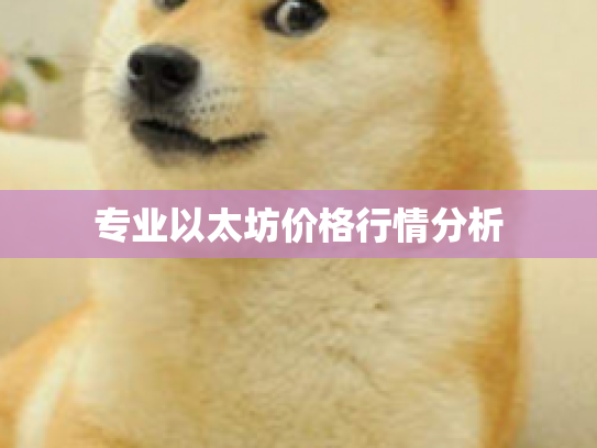 专业以太坊价格行情分析