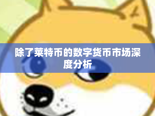 除了莱特币的数字货币市场深度分析