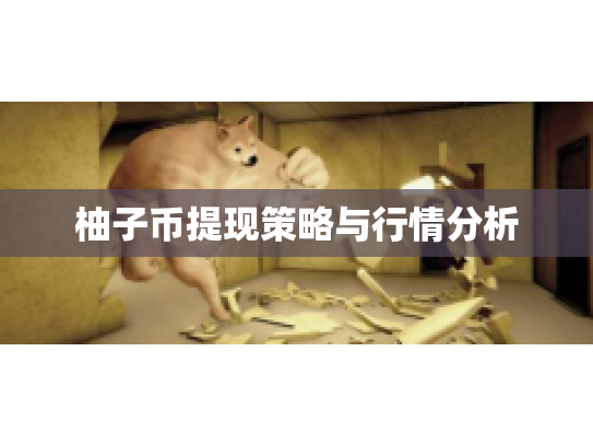 柚子币提现策略与行情分析