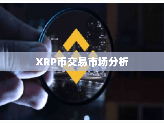 XRP币交易市场分析