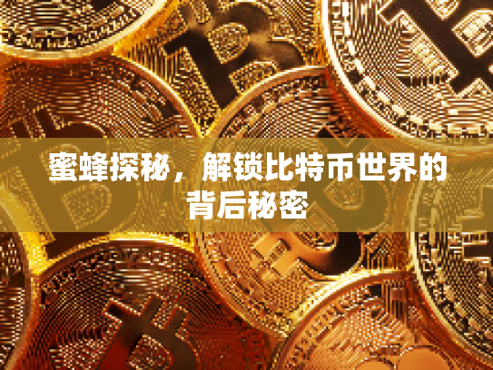 蜜蜂探秘，解锁比特币世界的背后秘密