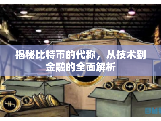 揭秘比特币的代称，从技术到金融的全面解析