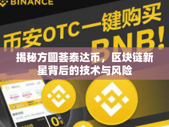 揭秘方圆荟泰达币，区块链新星背后的技术与风险