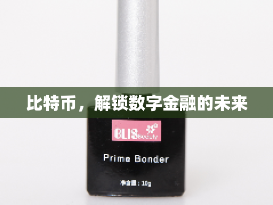 比特币，解锁数字金融的未来