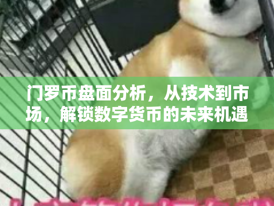 门罗币盘面分析，从技术到市场，解锁数字货币的未来机遇