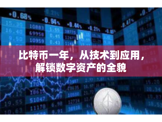 比特币一年，从技术到应用，解锁数字资产的全貌