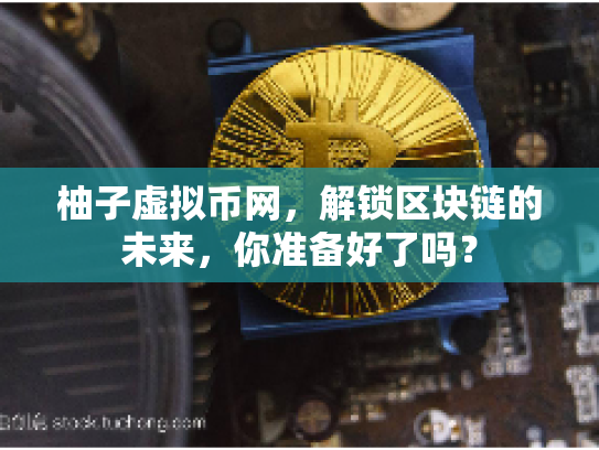 柚子虚拟币网，解锁区块链的未来，你准备好了吗？
