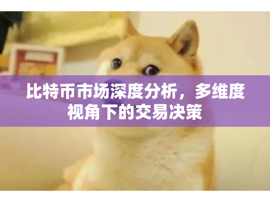 比特币市场深度分析，多维度视角下的交易决策