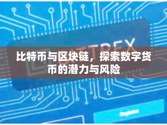 比特币与区块链,探索数字货币的潜力与风险 比特币与区块链,探索数字货币的潜力与风险