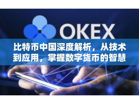 比特币中国深度解析，从技术到应用，掌握数字货币的智慧与风险