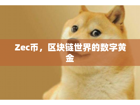 Zec币，区块链世界的数字黄金