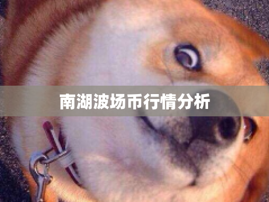 南湖波场币行情分析 南湖波场币行情分析