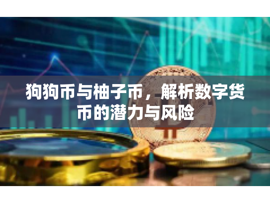 狗狗币与柚子币，解析数字货币的潜力与风险