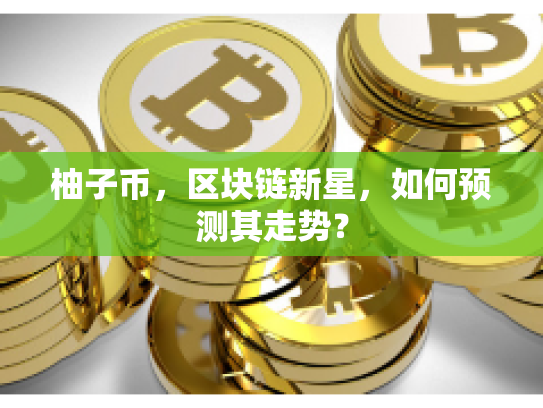 柚子币，区块链新星，如何预测其走势？