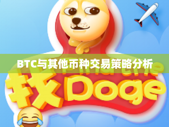 BTC与其他币种交易策略分析